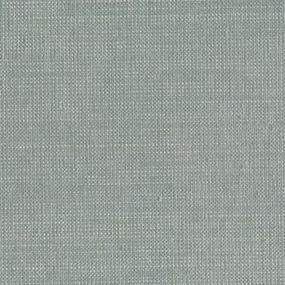product image of Grasscloth Raffia Wallpaper in Silver/Beige 58