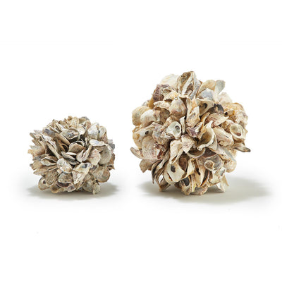 product image for oyster shell ball in 2 assorted sizes design by twos company 1 61