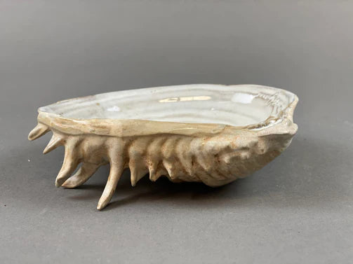 media image for yarnnakarn oceanology channeled clam shell dish 4 293