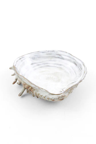 product image for yarnnakarn oceanology channeled clam shell dish 1 13