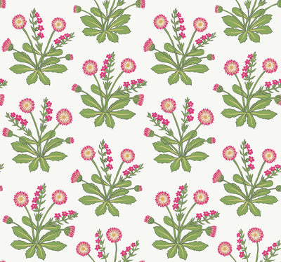 product image for Meadow Flowers White/Rose Wallpaper from the Arts and Crafts Collection by Ronald Redding 29