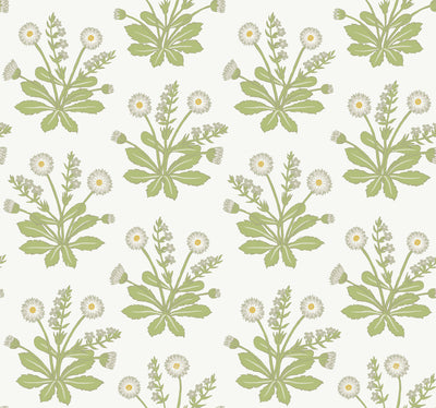 product image of Meadow Flowers White Wallpaper from the Arts and Crafts Collection by Ronald Redding 531