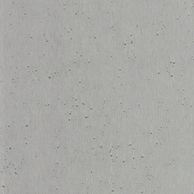 product image for Burnished Patina White Silver Wallpaper from the Arts and Crafts Collection by Ronald Redding 64