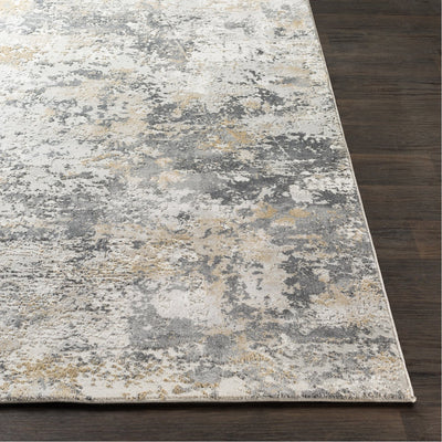 product image for Aisha AIS-2303 Rug in Charcoal & Gray by Surya 65