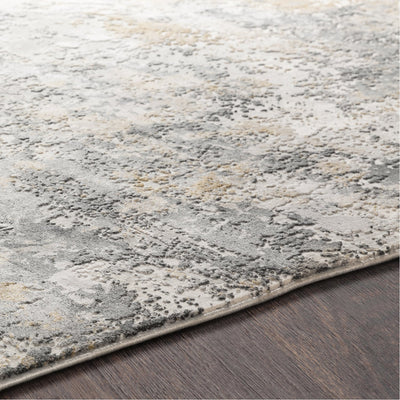 product image for Aisha AIS-2303 Rug in Charcoal & Gray by Surya 94
