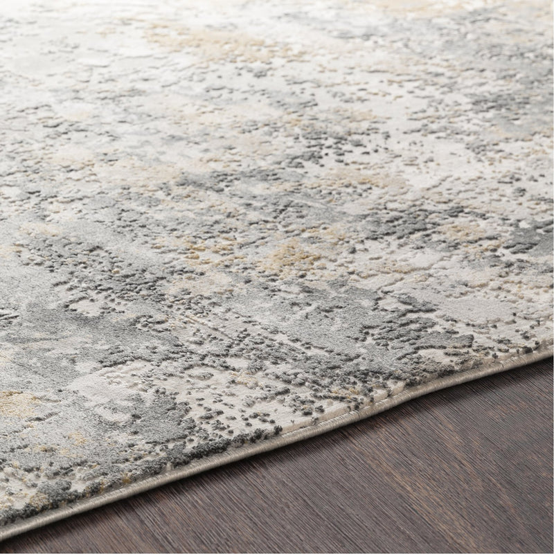 media image for Aisha AIS-2303 Rug in Charcoal & Gray by Surya 241
