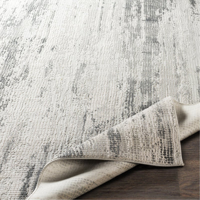 product image for Aisha AIS-2304 Rug in Gray & Charcoal by Surya 64