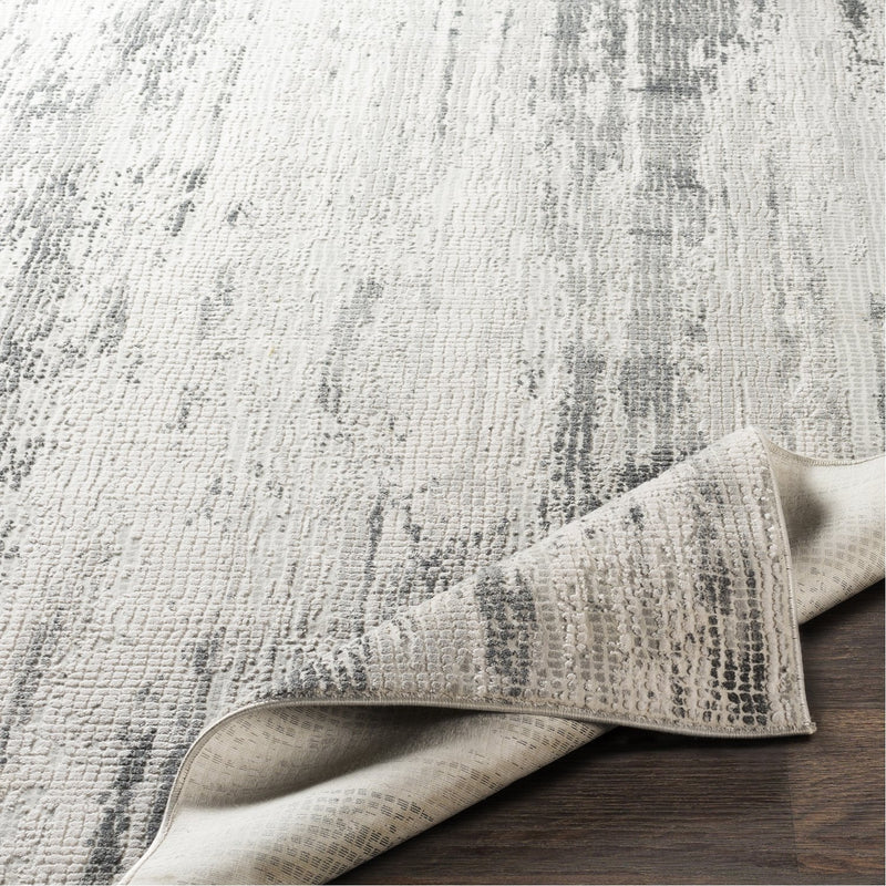 media image for Aisha AIS-2304 Rug in Gray & Charcoal by Surya 285