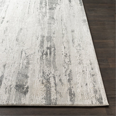 product image for Aisha AIS-2304 Rug in Gray & Charcoal by Surya 33