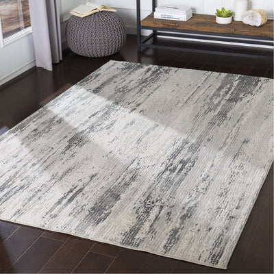 product image for Aisha AIS-2304 Rug in Gray & Charcoal by Surya 3