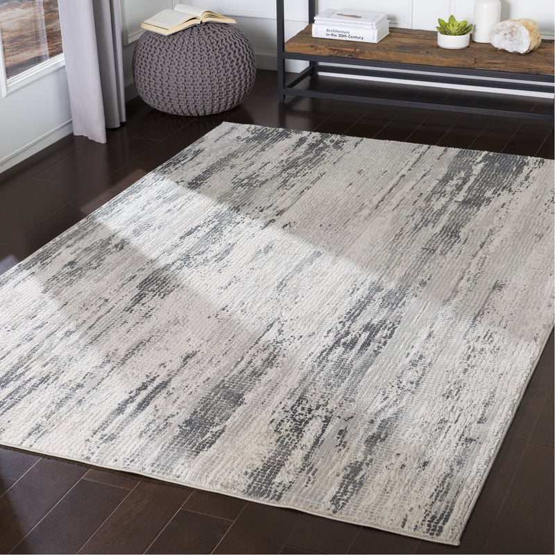 media image for Aisha AIS-2304 Rug in Gray & Charcoal by Surya 294