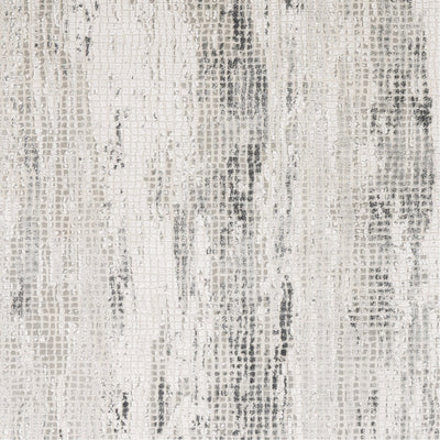 product image for Aisha AIS-2304 Rug in Gray & Charcoal by Surya 44