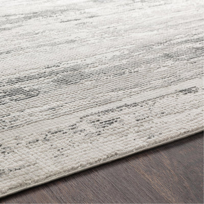 product image for Aisha AIS-2304 Rug in Gray & Charcoal by Surya 19