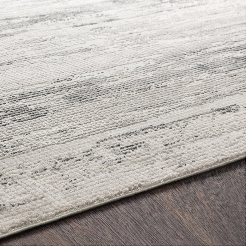 media image for Aisha AIS-2304 Rug in Gray & Charcoal by Surya 238
