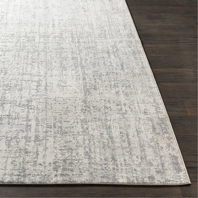 product image for Aisha AIS-2305 Rug in Gray & White by Surya 38