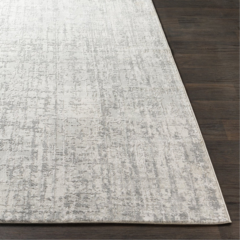 media image for Aisha AIS-2305 Rug in Gray & White by Surya 244