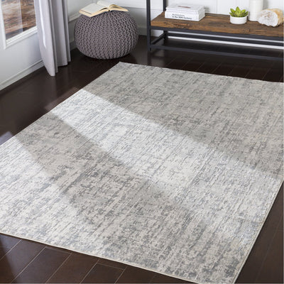 product image for Aisha AIS-2305 Rug in Gray & White by Surya 85