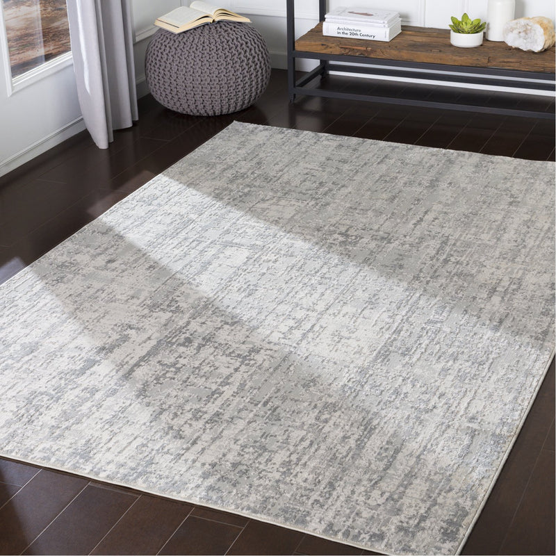 media image for Aisha AIS-2305 Rug in Gray & White by Surya 292