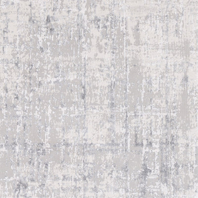 product image for Aisha AIS-2305 Rug in Gray & White by Surya 91