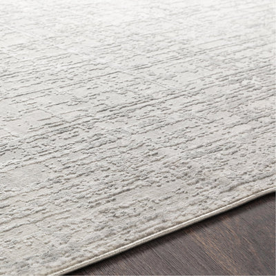 product image for Aisha AIS-2305 Rug in Gray & White by Surya 2