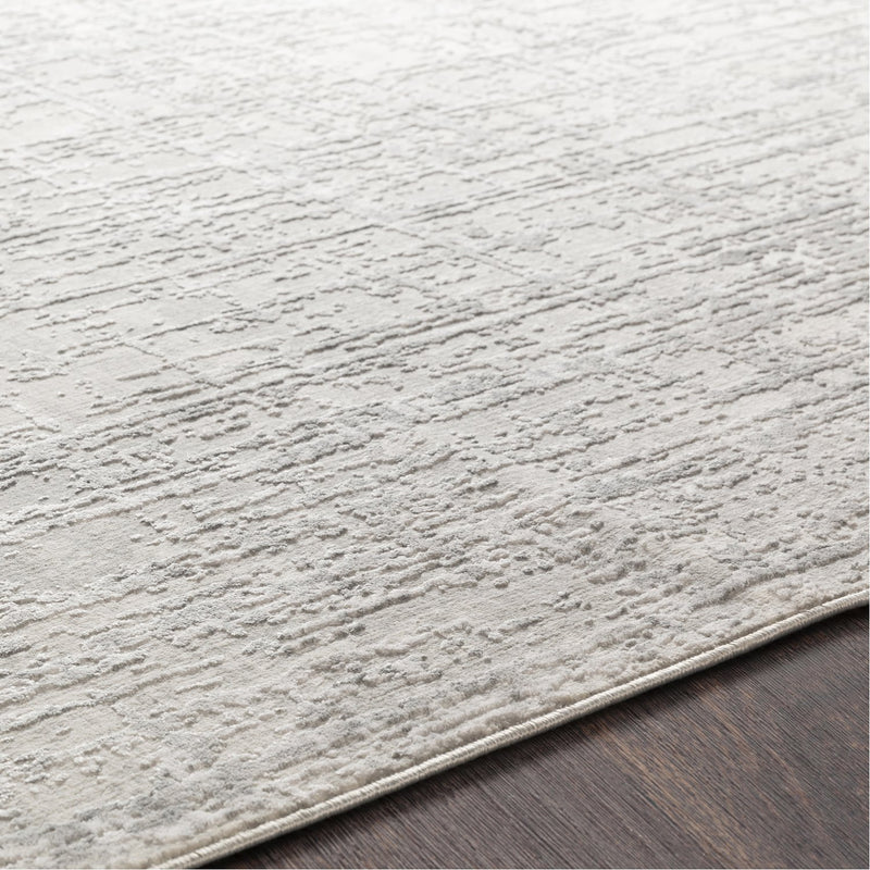 media image for Aisha AIS-2305 Rug in Gray & White by Surya 257