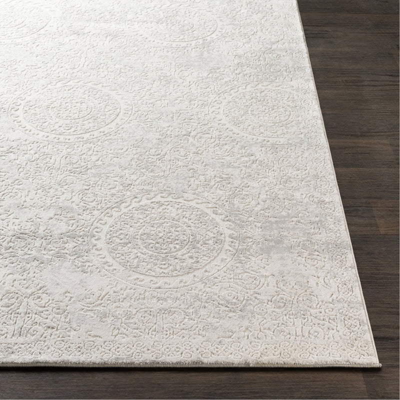 media image for Aisha AIS-2307 Rug in Light Gray & White by Surya 229