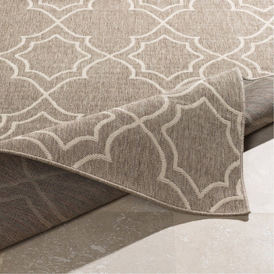product image for Alfresco ALF-9587 Rug in Camel & Cream by Surya 25
