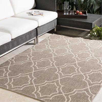 product image for Alfresco ALF-9587 Rug in Camel & Cream by Surya 16