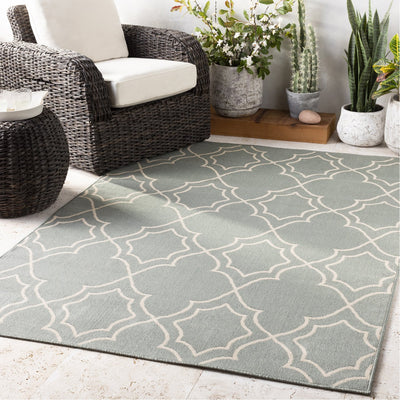 product image for Alfresco ALF-9589 Rug in Sage & Cream by Surya 7
