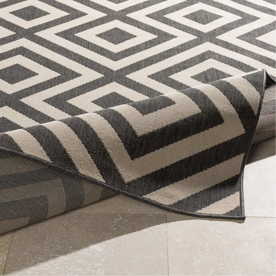 product image for Alfresco ALF-9639 Rug in Black & Cream by Surya 93