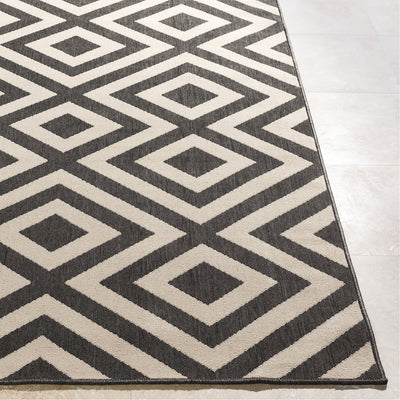 product image for Alfresco ALF-9639 Rug in Black & Cream by Surya 67