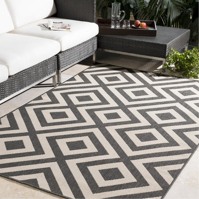 product image for Alfresco ALF-9639 Rug in Black & Cream by Surya 49