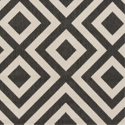 product image for Alfresco ALF-9639 Rug in Black & Cream by Surya 29