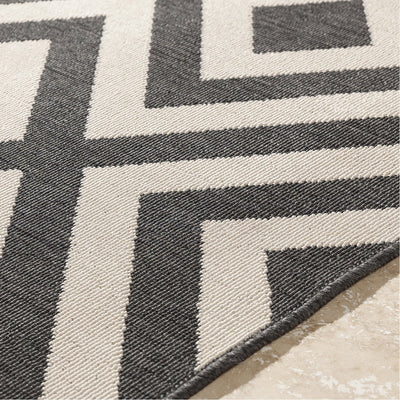product image for Alfresco ALF-9639 Rug in Black & Cream by Surya 55