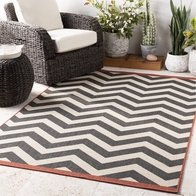 product image for Alfresco ALF-9646 Rug in Black & Cream by Surya 94