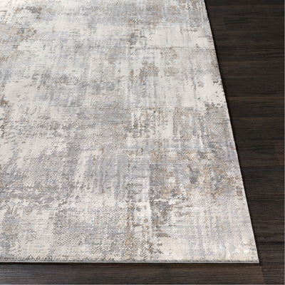 product image for Alpine ALP-2304 Rug in Gray & Ivory by Surya 97