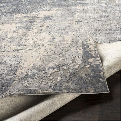product image for Alpine ALP-2306 Rug in Gray & Charcoal by Surya 91