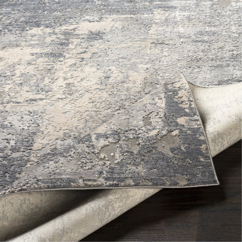 media image for Alpine ALP-2306 Rug in Gray & Charcoal by Surya 251