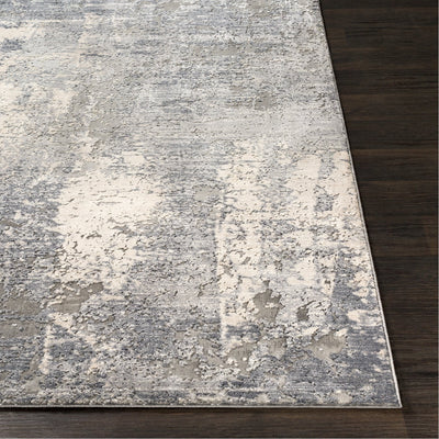 product image for Alpine ALP-2306 Rug in Gray & Charcoal by Surya 99
