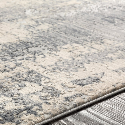 product image for Alpine ALP-2306 Rug in Gray & Charcoal by Surya 9