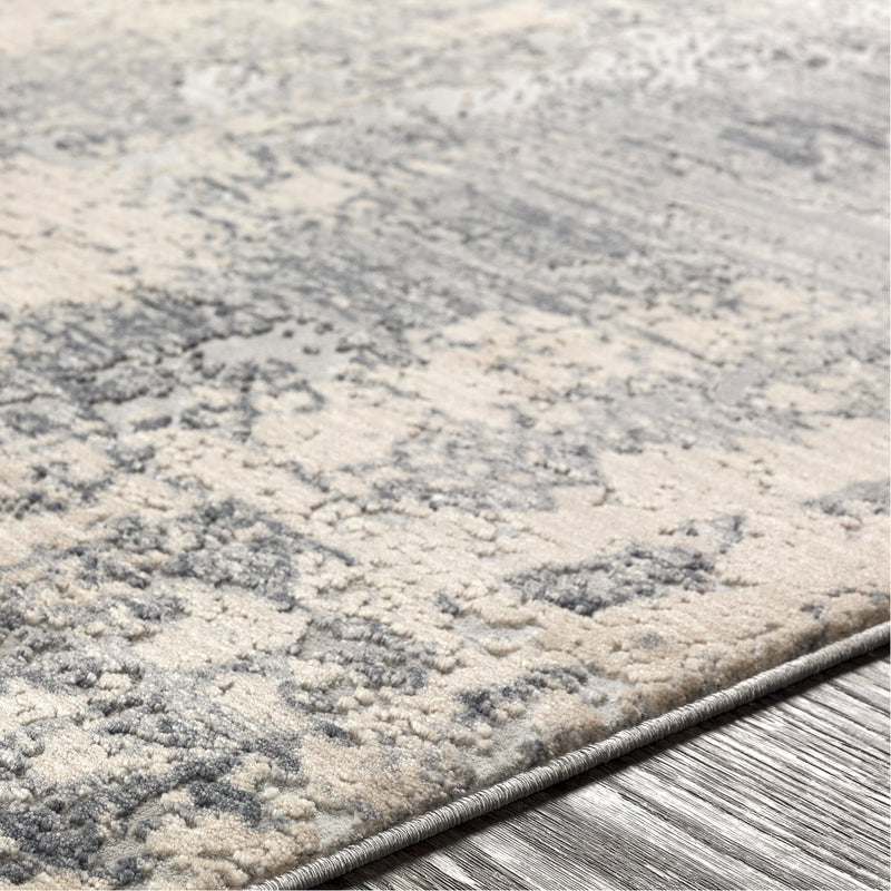 media image for Alpine ALP-2306 Rug in Gray & Charcoal by Surya 241