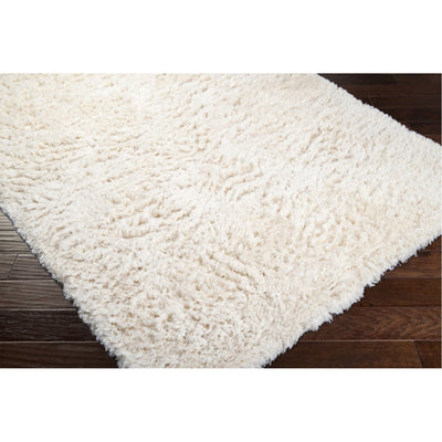 product image for Ashton ASH-1300 Hand Woven Rug in Cream by Surya 34