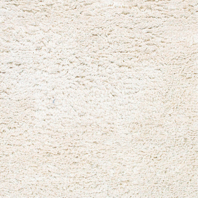 product image for Ashton ASH-1300 Hand Woven Rug in Cream by Surya 81