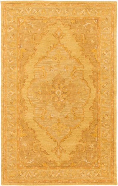 product image of middleton rug in bright and metallic by surya 1 534