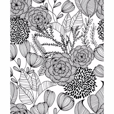 product image of Alannah Botanical Wallpaper in Black from the Bluebell Collection by Brewster Home Fashions 588