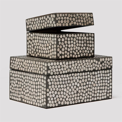 product image of Albus Circle Shell Boxes, Set of 2 58