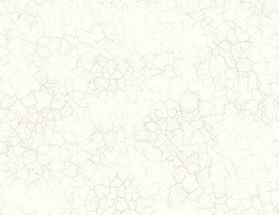 product image of Alchemy Wallpaper in Gold and Cream from the Transition Collection by Mayflower Wallpaper 585