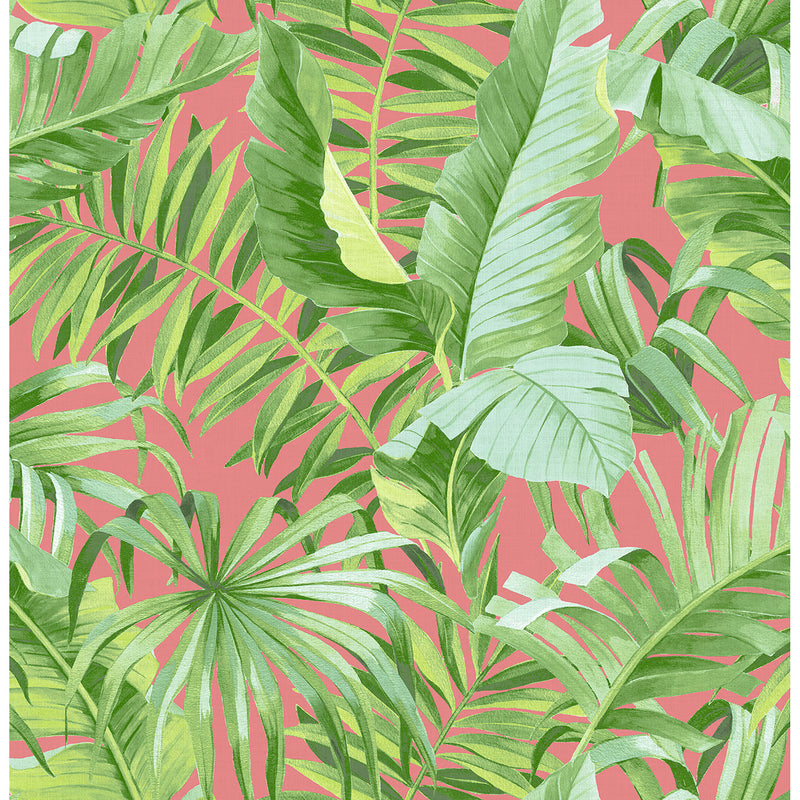 media image for Alfresco Tropical Palm Wallpaper in Coral from the Pacifica Collection by Brewster Home Fashions 278