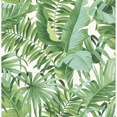 product image of Alfresco Tropical Palm Wallpaper in Green from the Pacifica Collection by Brewster Home Fashions 551