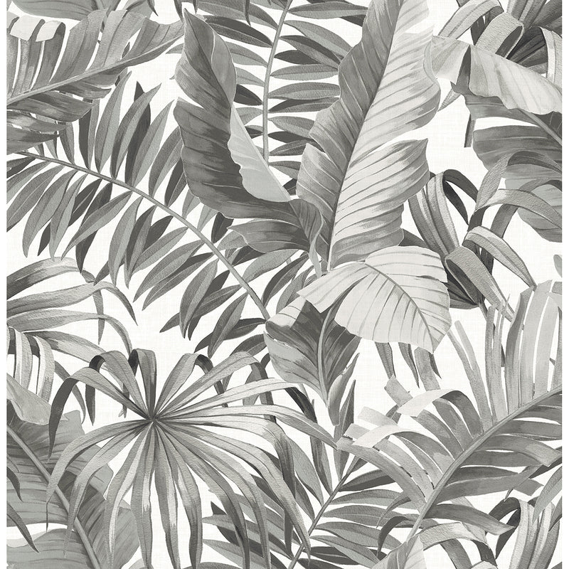 media image for Alfresco Tropical Palm Wallpaper in Grey from the Pacifica Collection by Brewster Home Fashions 245